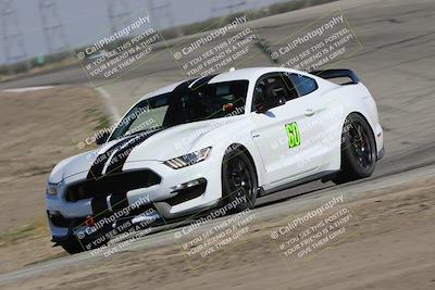 media/Oct-21-2023-Speed Ventures (Sat) [[ddf75163c5]]/Green/Grapvine/